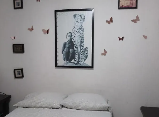 Casa Mariposas
